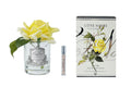 Perfumed Single Rose - Clear Vase - Yellow
